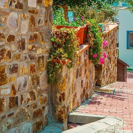 Exceptional Farmhouse In Bodrum Guerece ボドルム